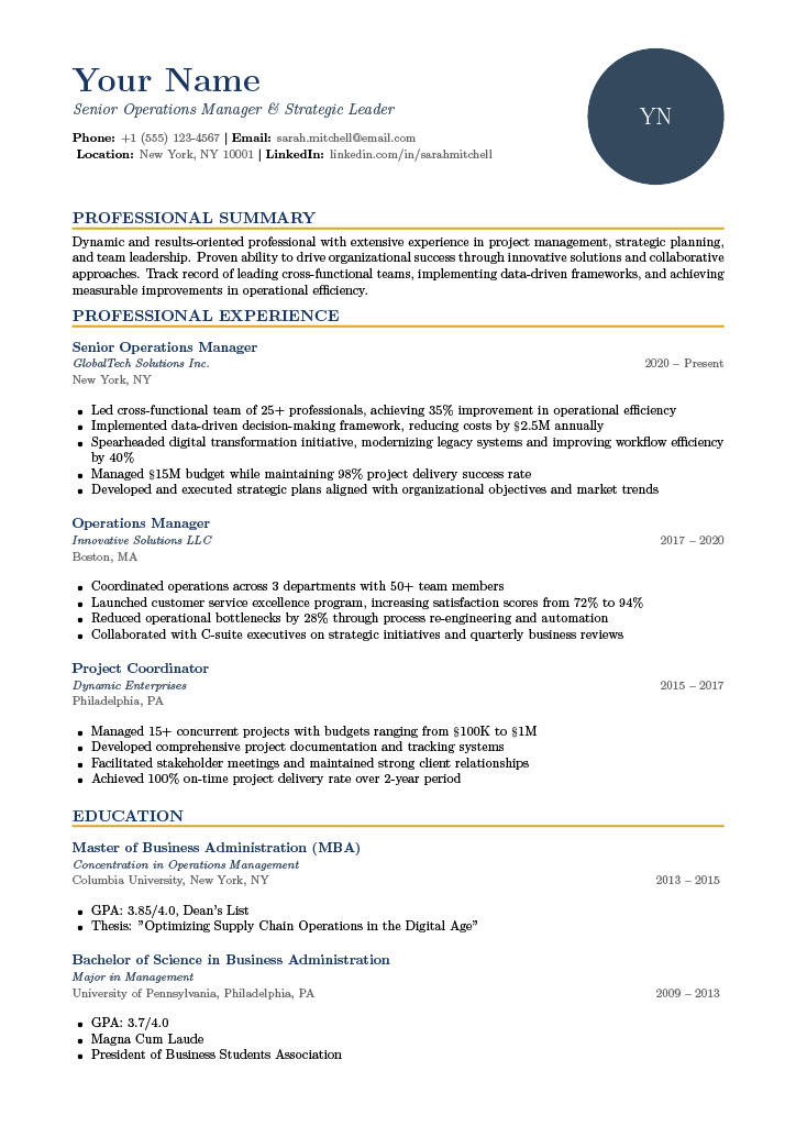 Professional One Column Resume Template Preview