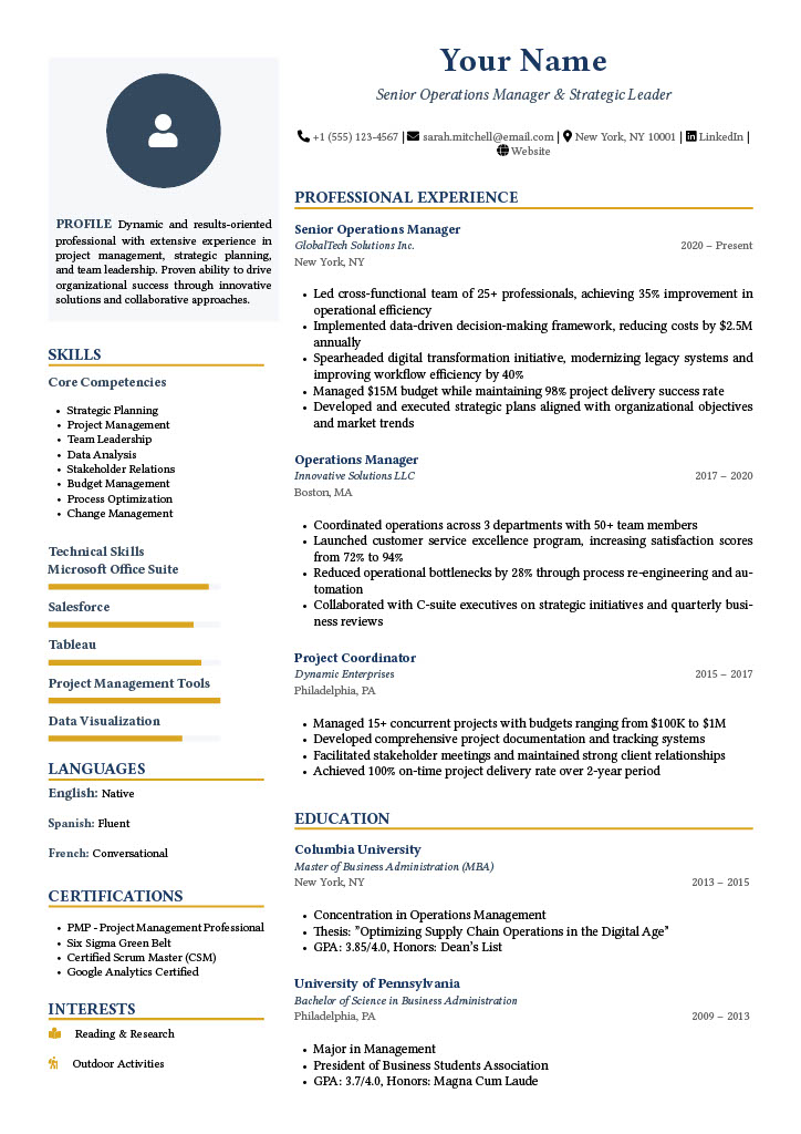Professional Two Column Resume Template Preview
